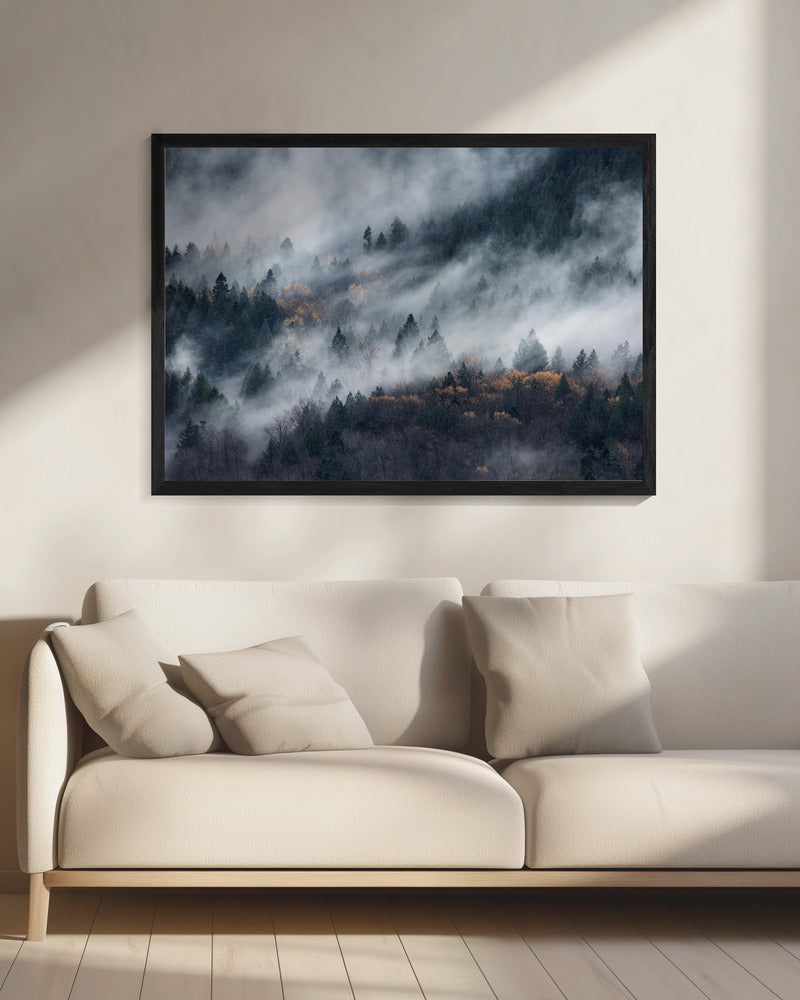 A path of the fog | Canvas