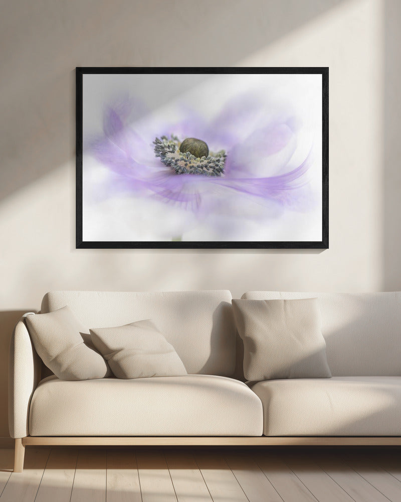 Whisper | Canvas