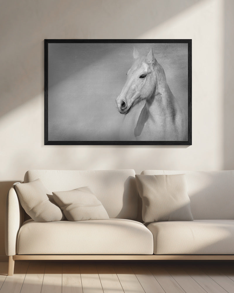 The Grey Horse | Canvas