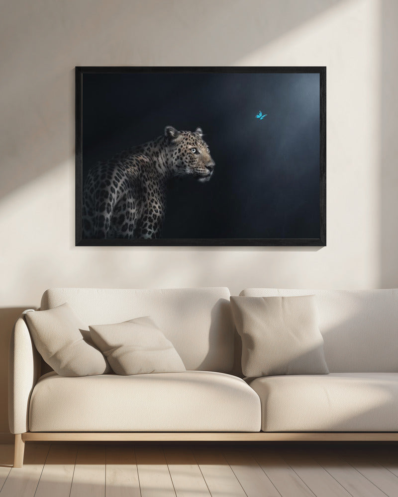 Imagination | Canvas