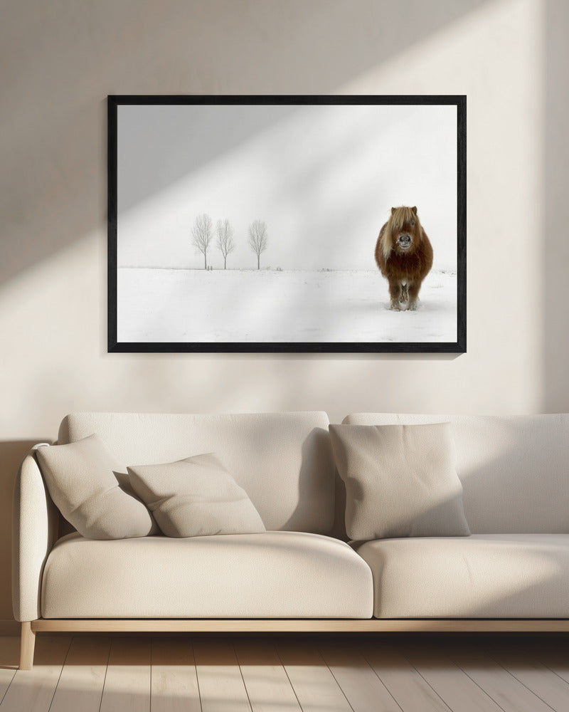 The cold pony | Canvas