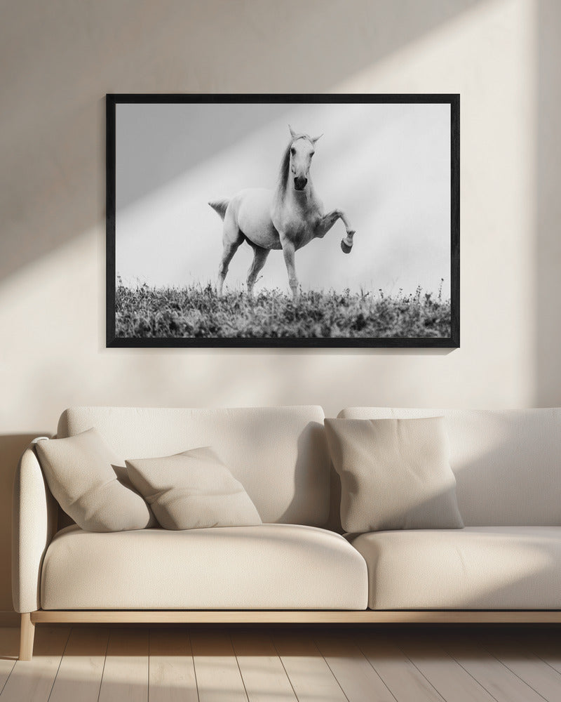 a short story about white beauty | Canvas