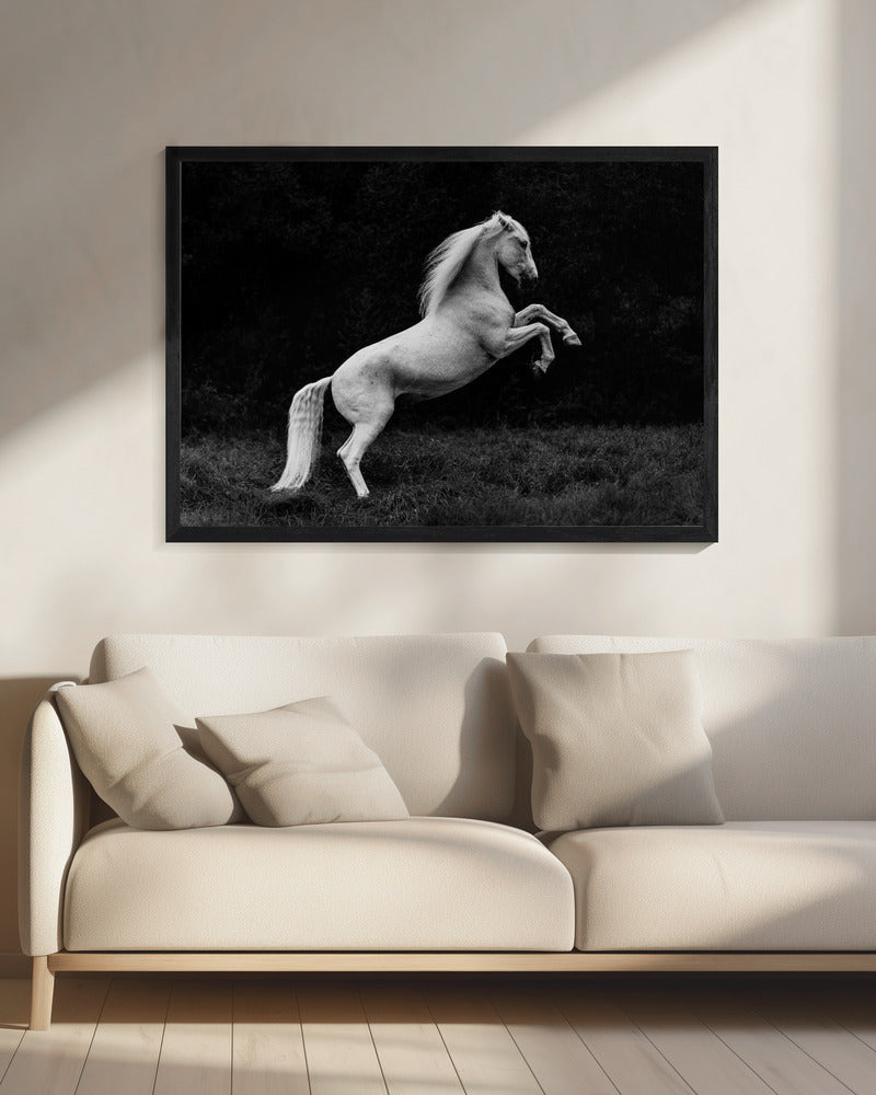 a short story of a blade of grass in a hoof | Canvas