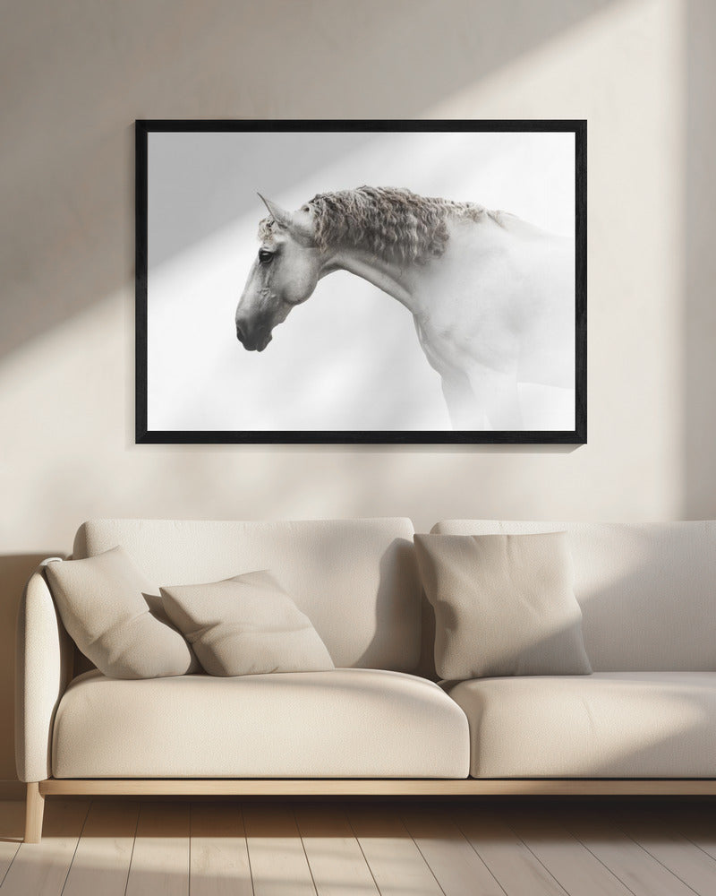 Curly hair… | Canvas