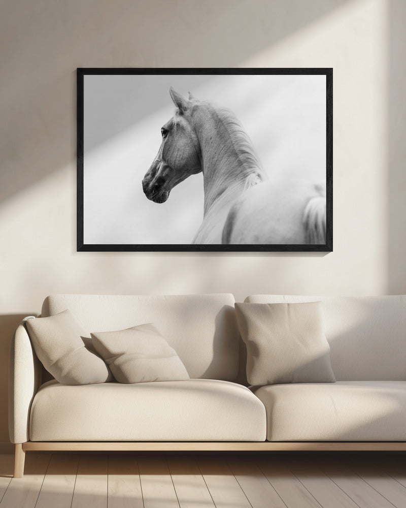 a short story about a shorn horse | Canvas