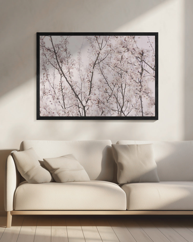 Spring blossoms | Canvas