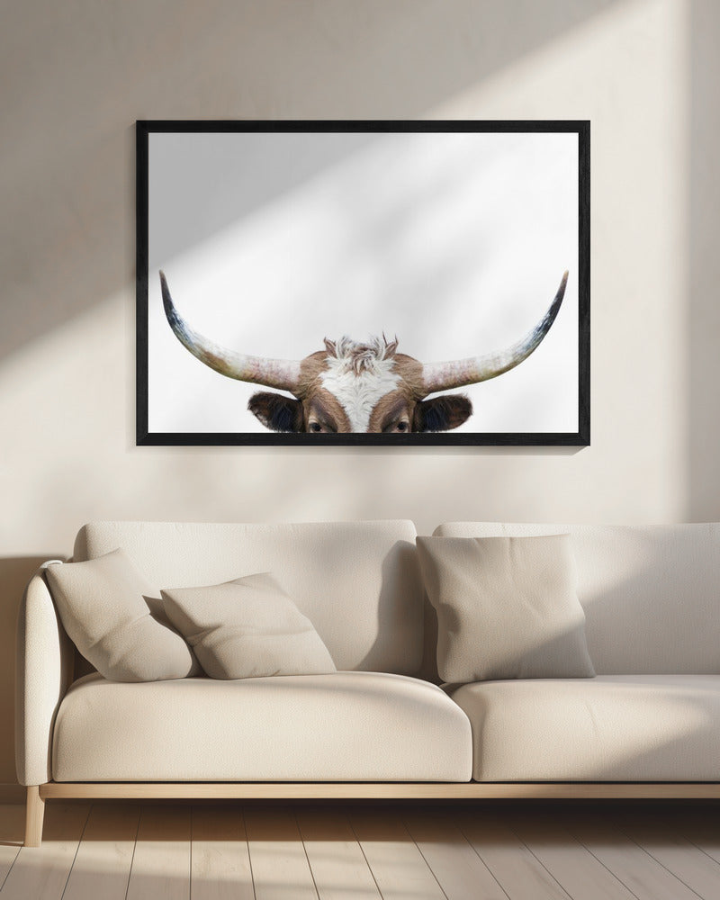 Peeking Longhorn Cow | Canvas