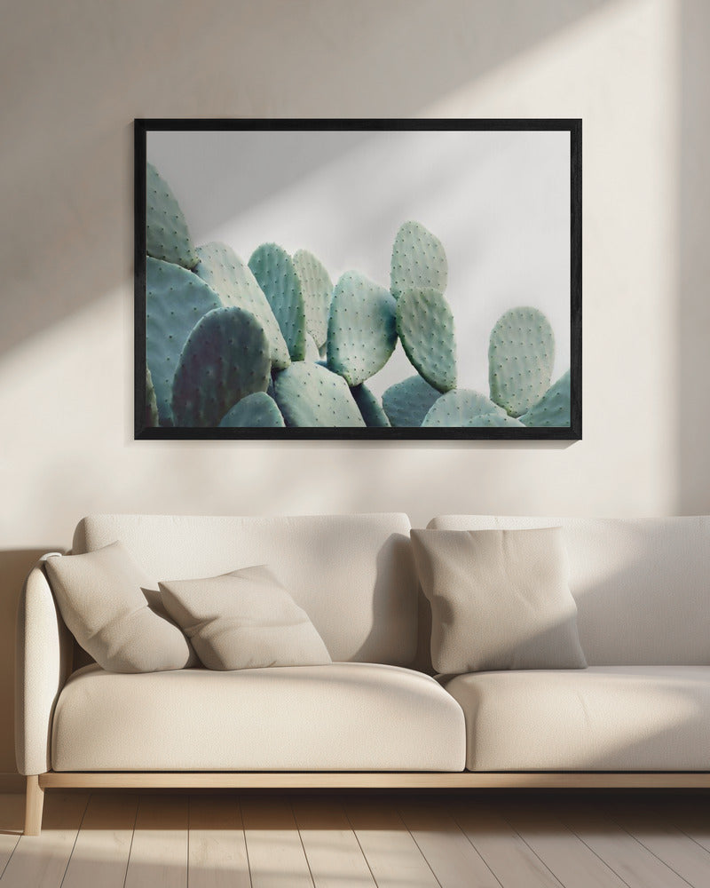 Pastel Cactus | Canvas