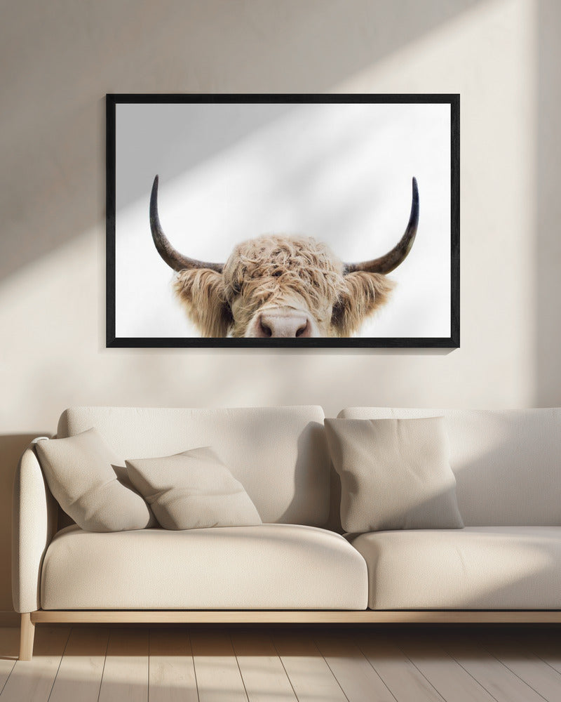 Peeking Cow | Canvas