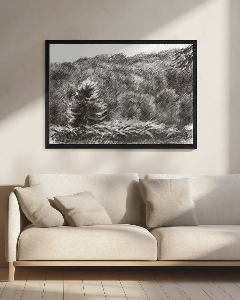 Beek - 21-07-19 | Canvas