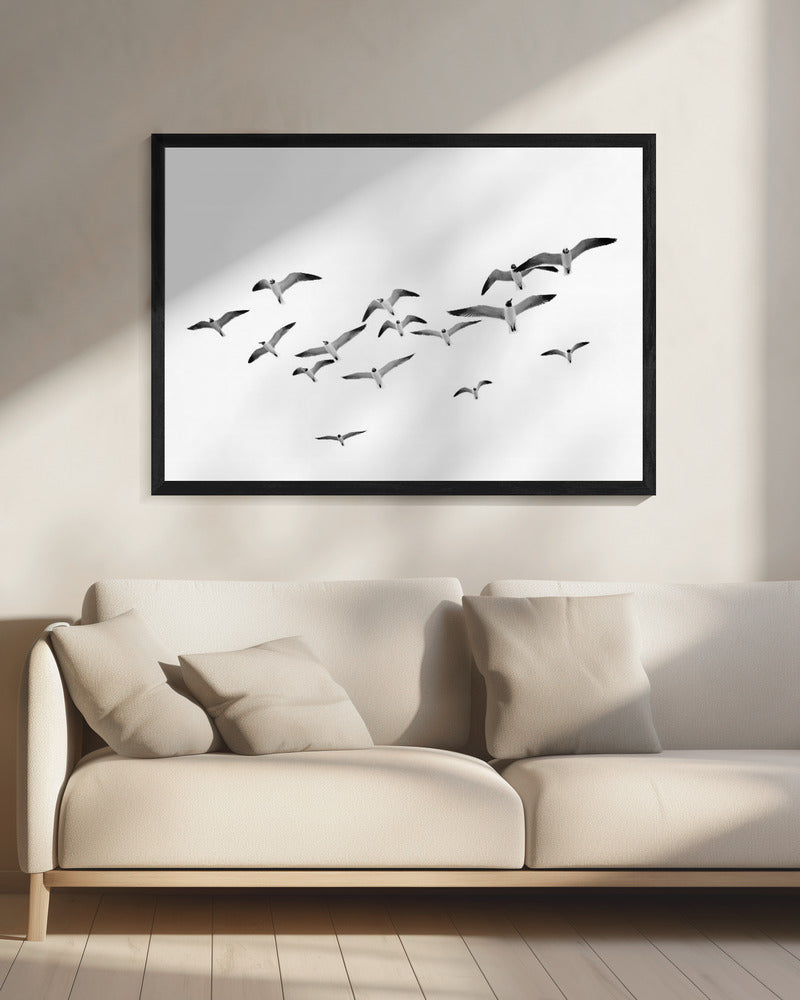 Flying Birds | Canvas
