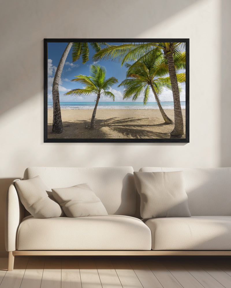Palmy Beach II | Canvas