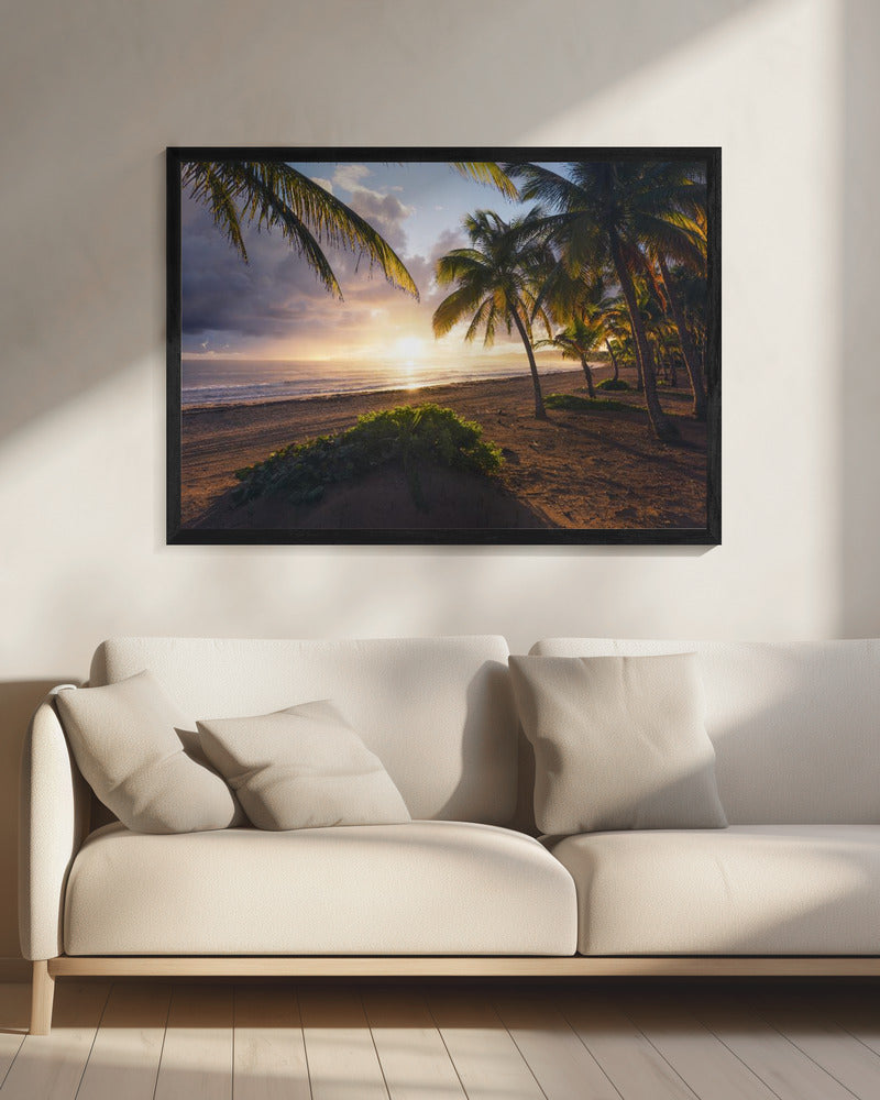 Good Morning Paradise | Canvas