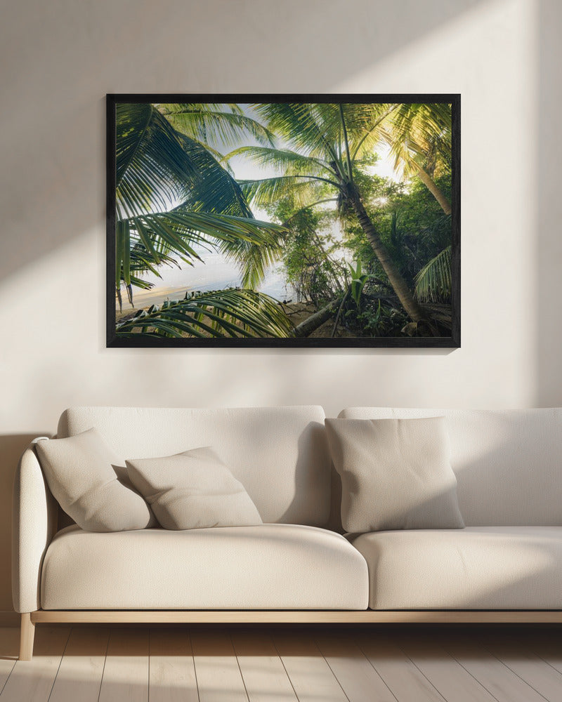 Hide under Palms | Canvas