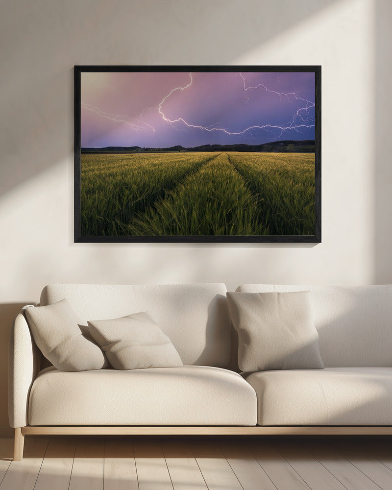 Lightning | Canvas
