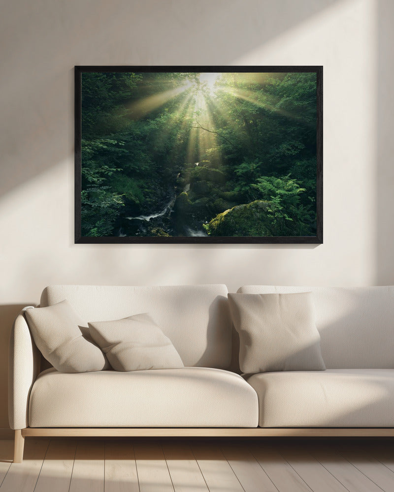 Green Rays | Canvas