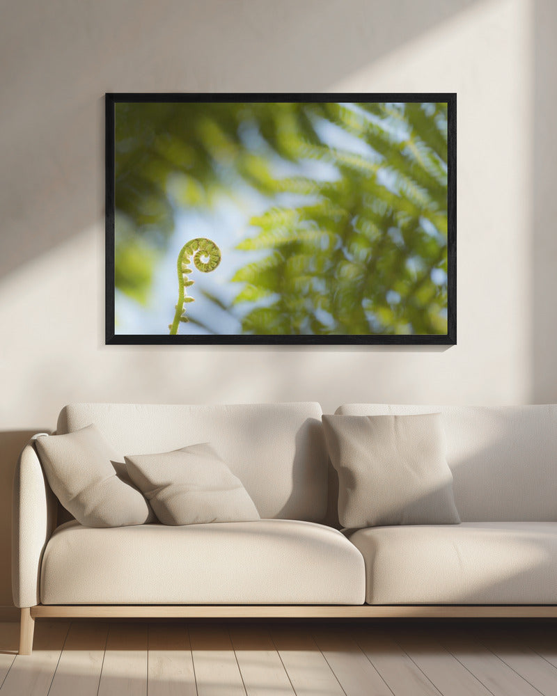 Fern Detail III | Canvas