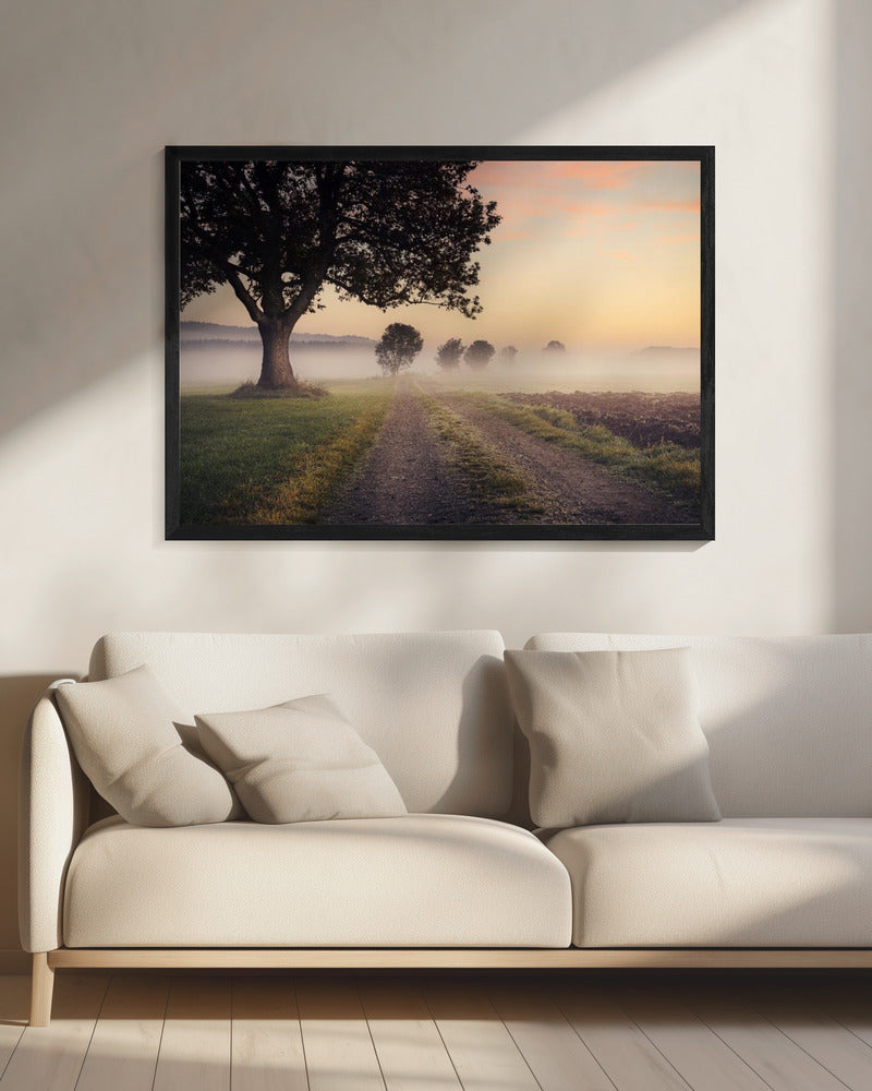 Mystic Path | Canvas