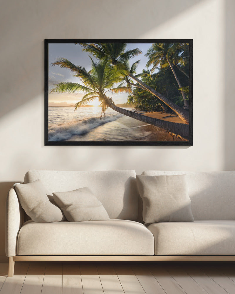 Paradise Shore | Canvas