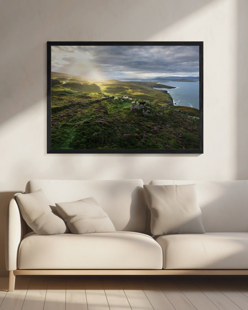 Good Morning Ireland | Canvas