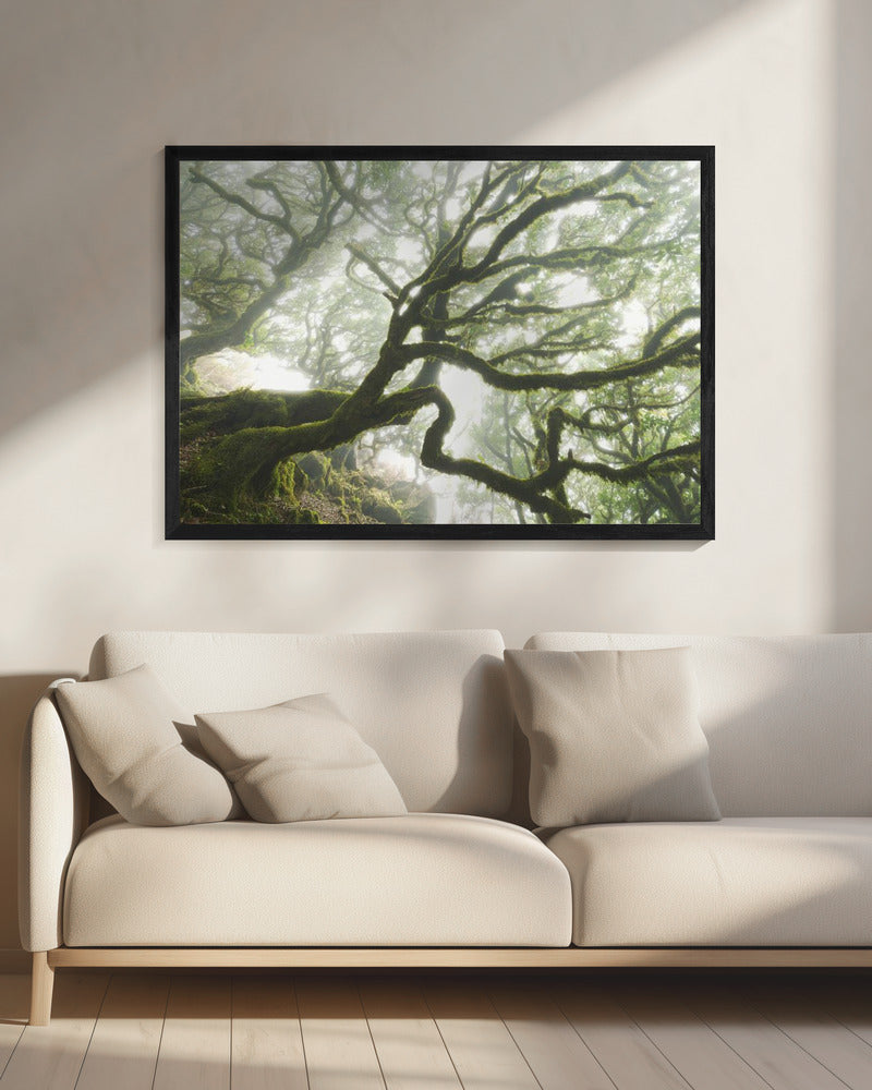 Magic Moment | Canvas