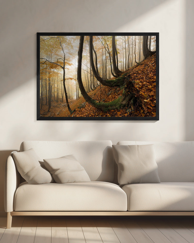 Mystic Autumn Forest | Canvas
