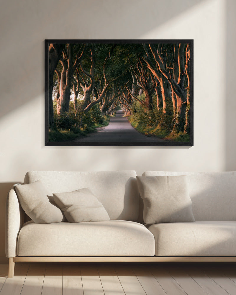 Red Avenue | Canvas