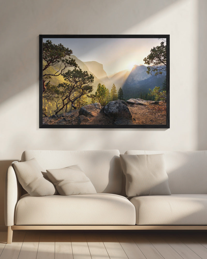 Yosemites Secret | Canvas