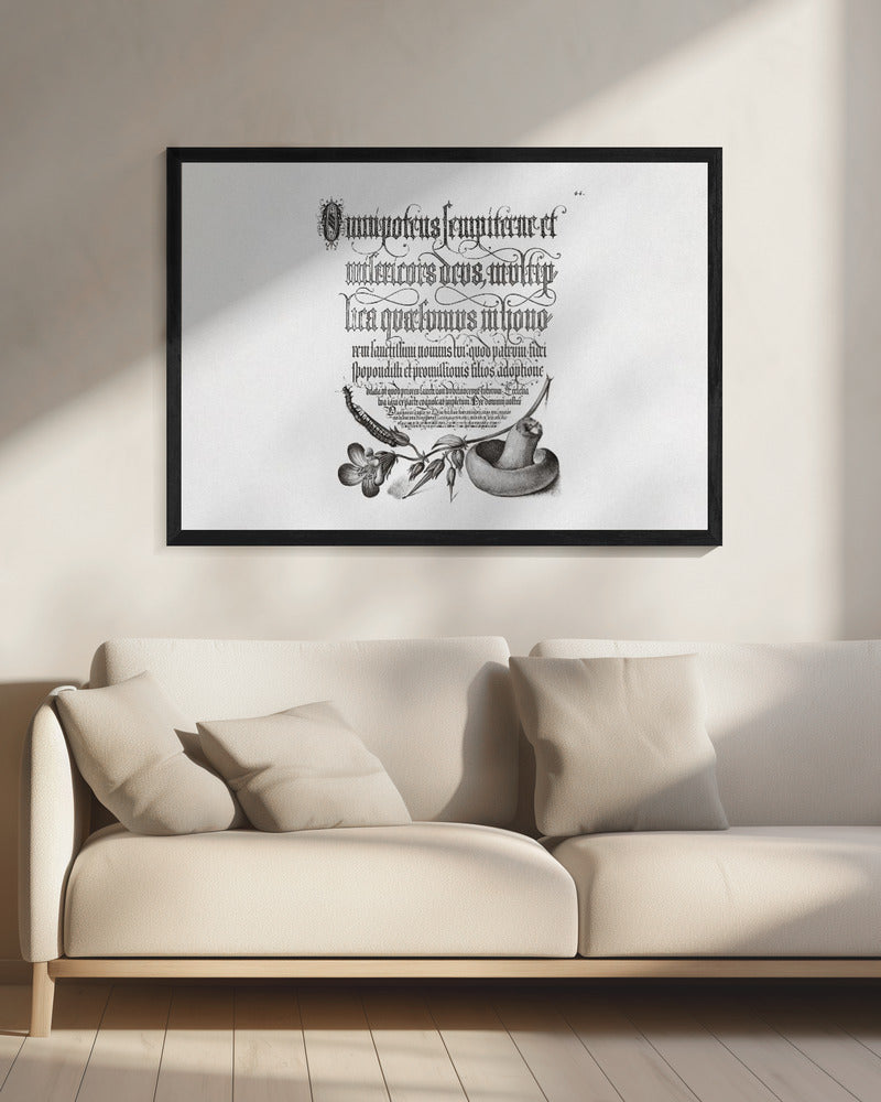 Centipede, Wood Cranesbill, and Mushroom Bw Horizontal | Canvas