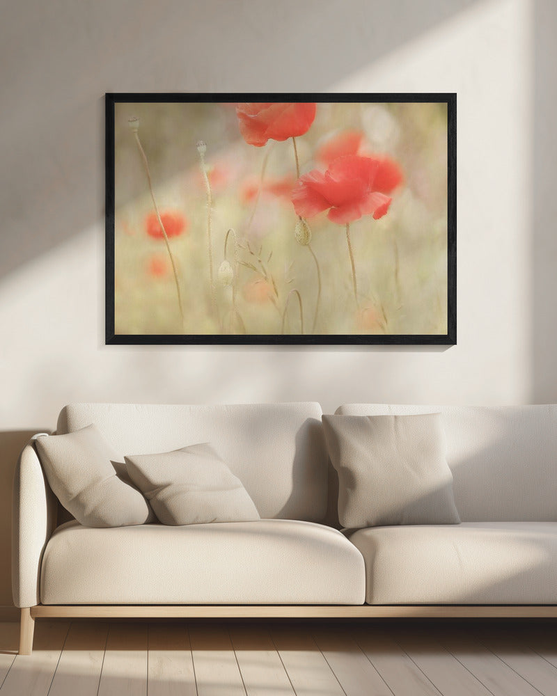 Memories | Canvas