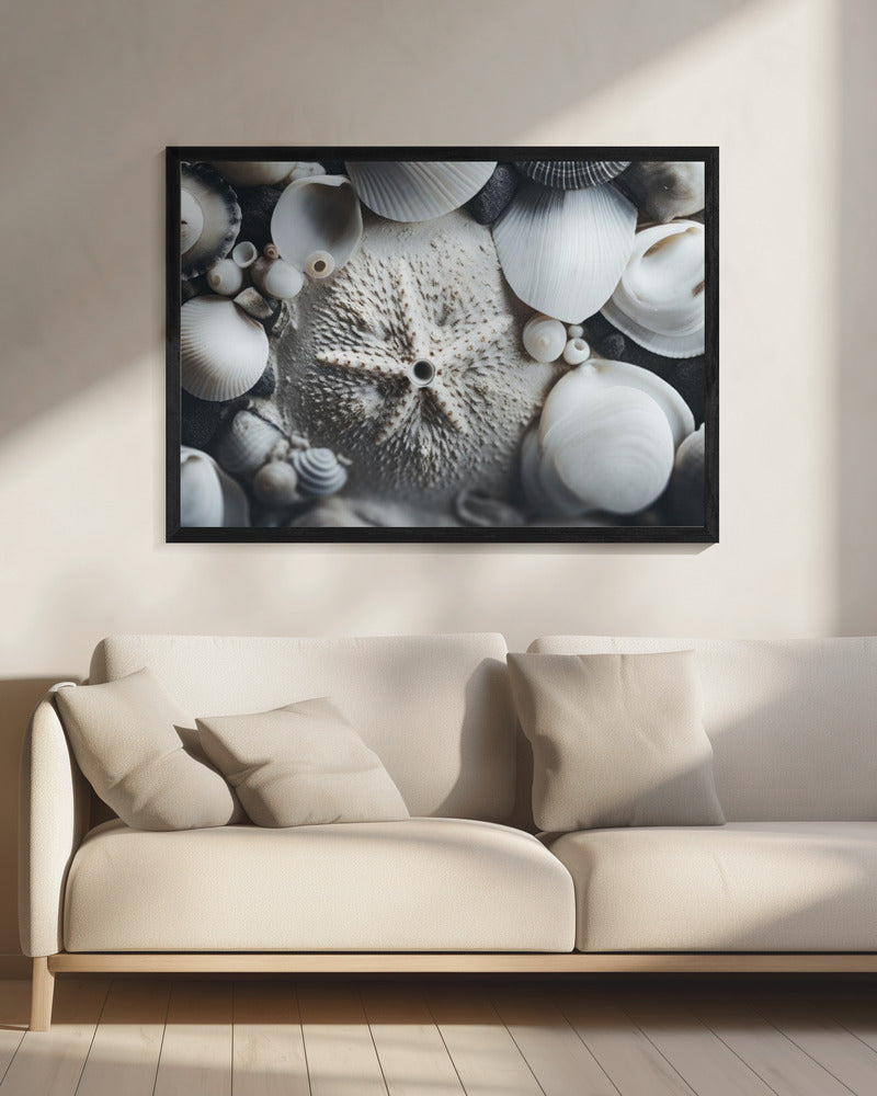Seashell Symphony | Canvas