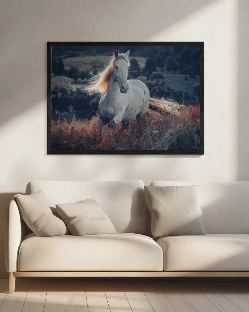 a short story about sunrise | Canvas