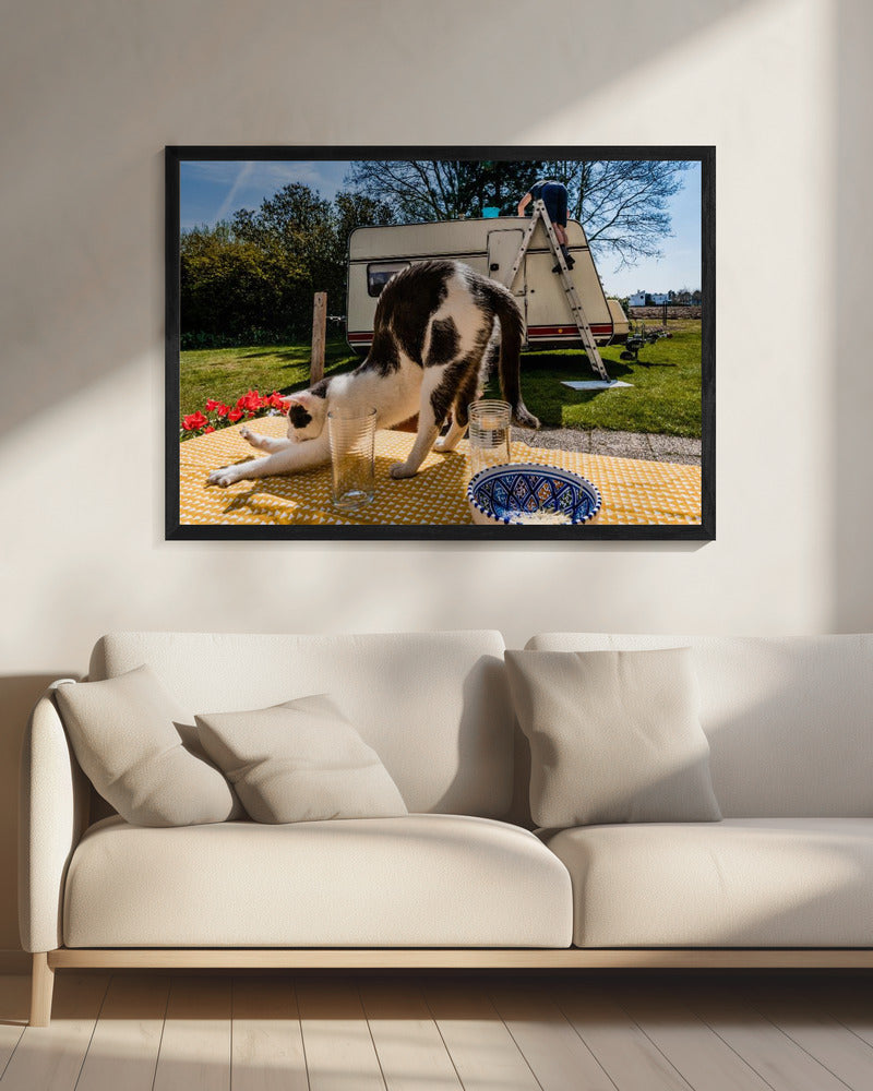 Simular poses... | Canvas