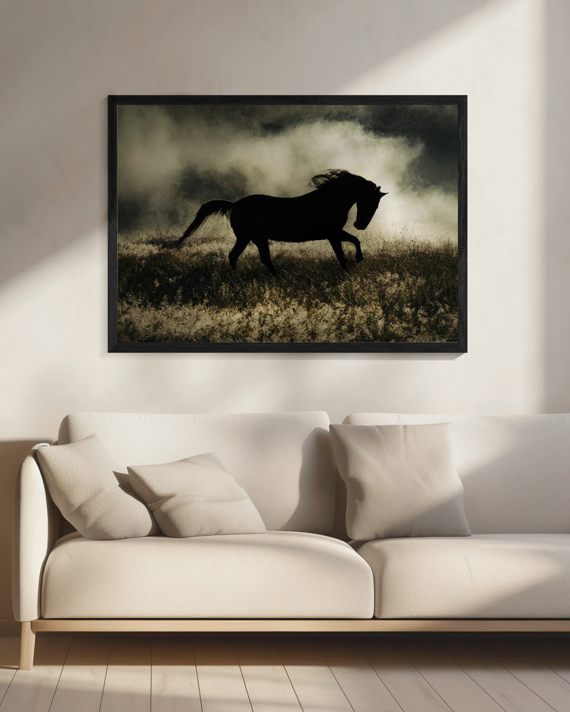 a short story about the morning glory | Canvas