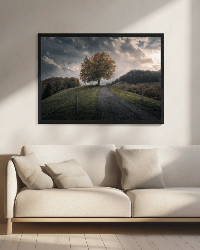 Time After Time | Canvas