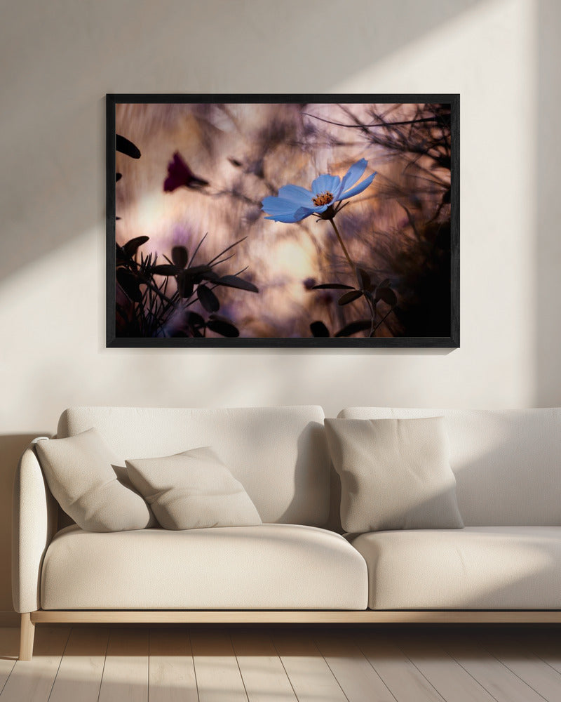 L'indifférence | Canvas