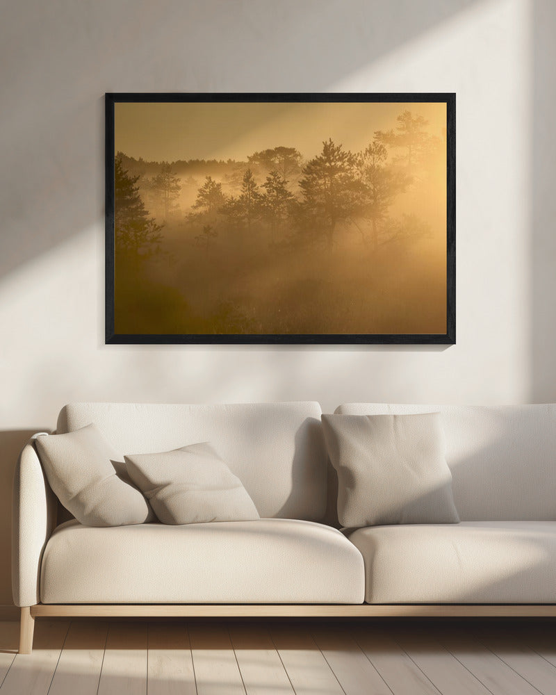 20220809 Dsf8002 1 | Canvas