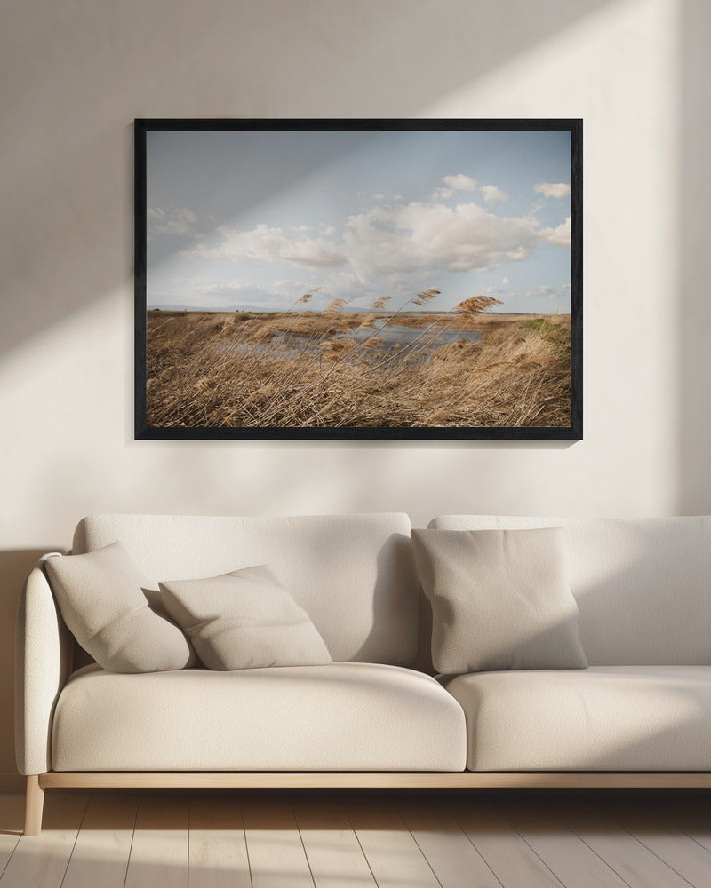 Marshland No.6 | Canvas
