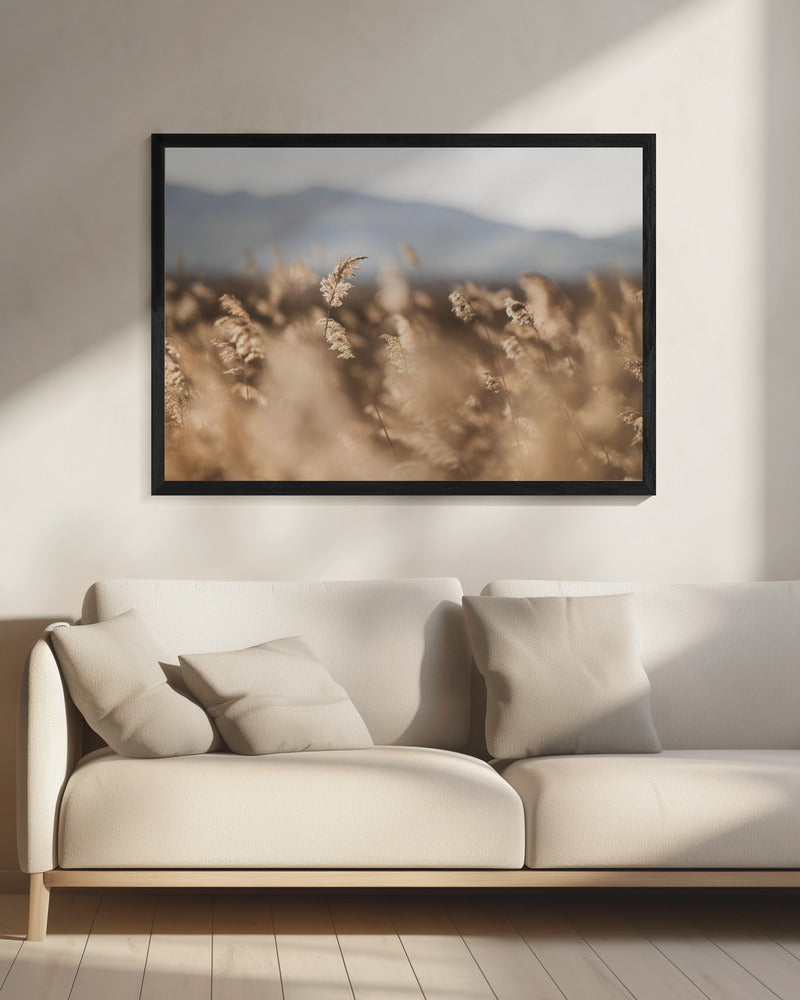 Marsh Grass No.11 | Canvas