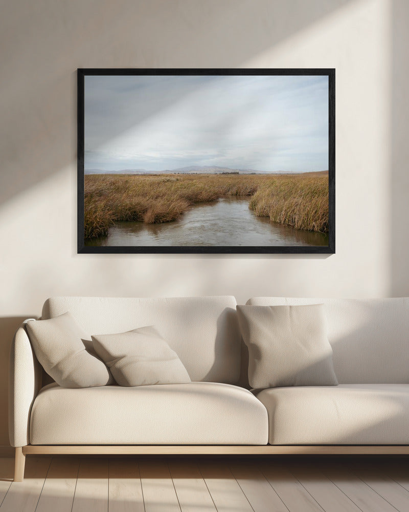 Marshland No.1 | Canvas