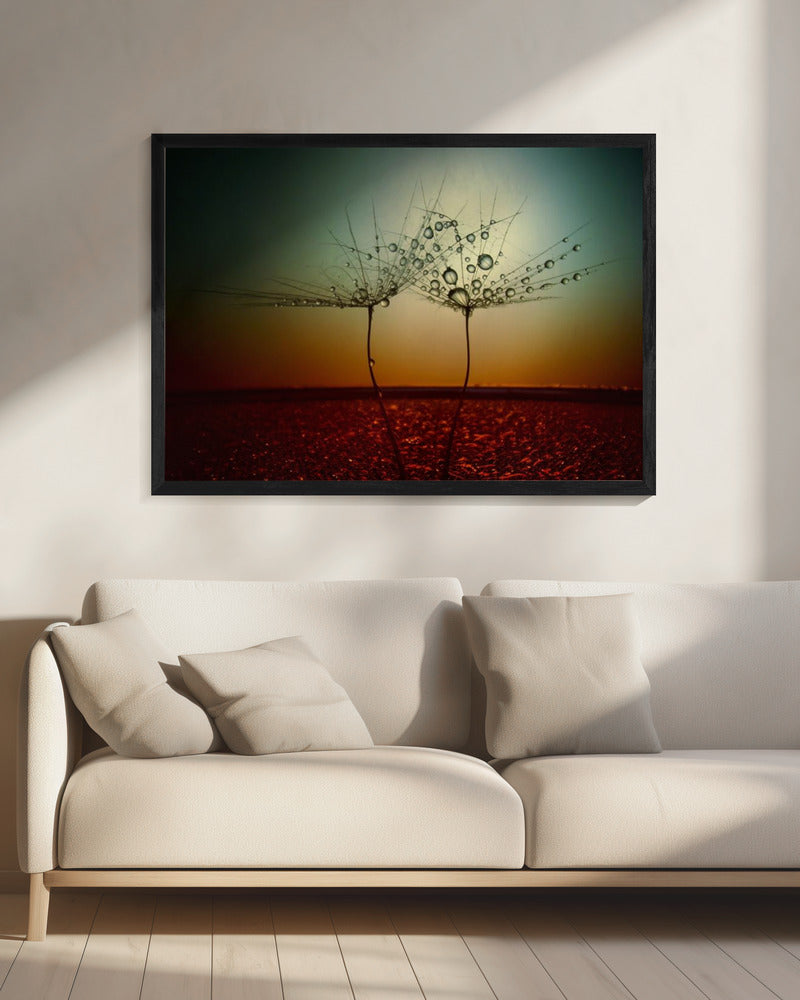 Fire and water | Canvas