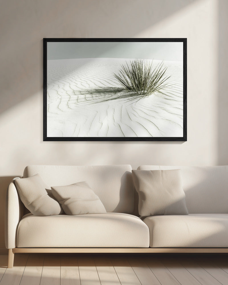 WHITE SANDS Vintage Dune | Canvas