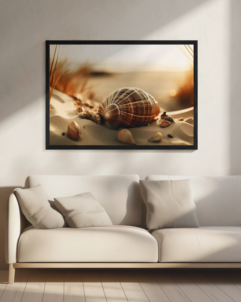 Dunes' Silent Shells | Canvas