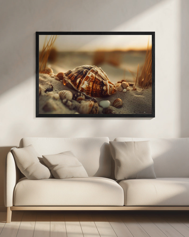 Shells at Sunset | Canvas