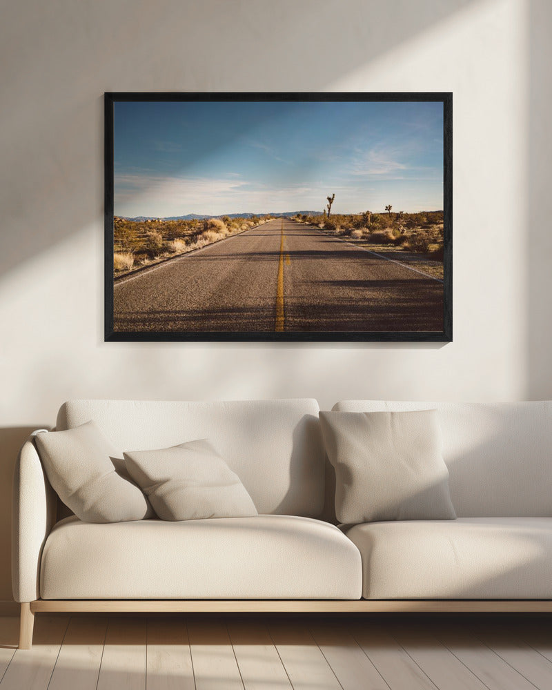 Joshua Tree Road | Canvas