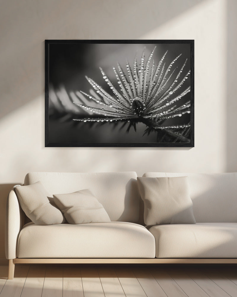 Dewy Elegance | Canvas