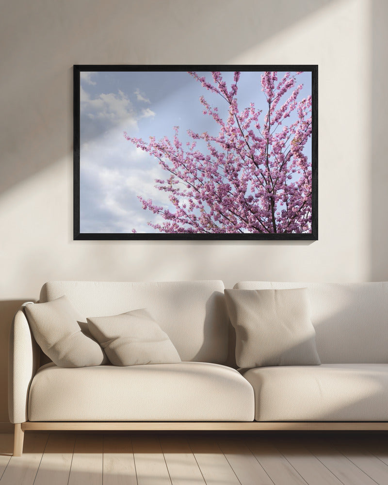 Colorful Spring 12 | Canvas