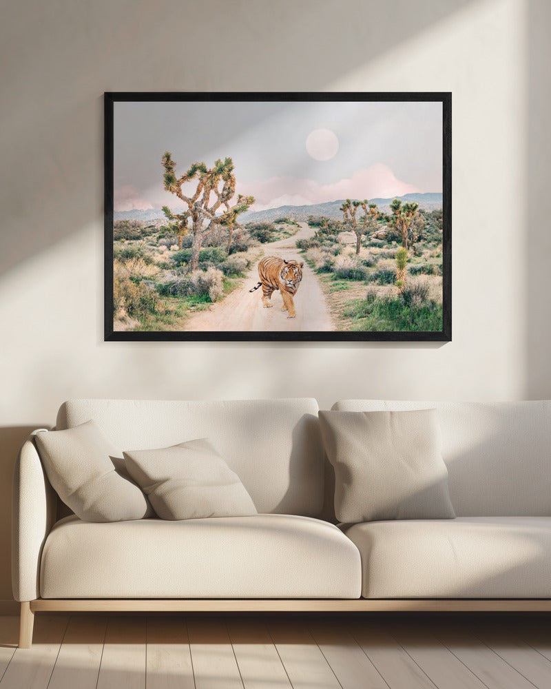 Wandering Tiger | Canvas
