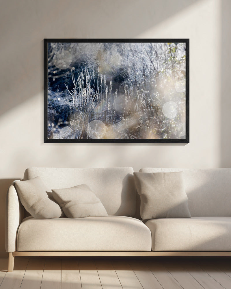 A Winter Morning 3 | Canvas