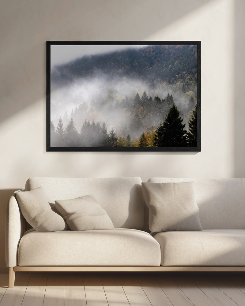 Foggy Woods 9 | Canvas